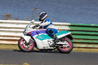 Vintage-motorcycle-club;eventdigitalimages;mallory-park;mallory-park-trackday-photographs;no-limits-trackdays;peter-wileman-photography;trackday-digital-images;trackday-photos;vmcc-festival-1000-bikes-photographs