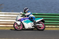 Vintage-motorcycle-club;eventdigitalimages;mallory-park;mallory-park-trackday-photographs;no-limits-trackdays;peter-wileman-photography;trackday-digital-images;trackday-photos;vmcc-festival-1000-bikes-photographs