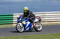 Vintage-motorcycle-club;eventdigitalimages;mallory-park;mallory-park-trackday-photographs;no-limits-trackdays;peter-wileman-photography;trackday-digital-images;trackday-photos;vmcc-festival-1000-bikes-photographs