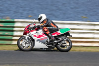 Vintage-motorcycle-club;eventdigitalimages;mallory-park;mallory-park-trackday-photographs;no-limits-trackdays;peter-wileman-photography;trackday-digital-images;trackday-photos;vmcc-festival-1000-bikes-photographs