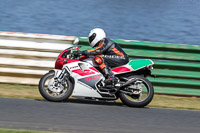 Vintage-motorcycle-club;eventdigitalimages;mallory-park;mallory-park-trackday-photographs;no-limits-trackdays;peter-wileman-photography;trackday-digital-images;trackday-photos;vmcc-festival-1000-bikes-photographs