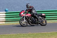 Vintage-motorcycle-club;eventdigitalimages;mallory-park;mallory-park-trackday-photographs;no-limits-trackdays;peter-wileman-photography;trackday-digital-images;trackday-photos;vmcc-festival-1000-bikes-photographs