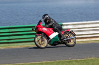 Vintage-motorcycle-club;eventdigitalimages;mallory-park;mallory-park-trackday-photographs;no-limits-trackdays;peter-wileman-photography;trackday-digital-images;trackday-photos;vmcc-festival-1000-bikes-photographs
