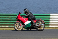 Vintage-motorcycle-club;eventdigitalimages;mallory-park;mallory-park-trackday-photographs;no-limits-trackdays;peter-wileman-photography;trackday-digital-images;trackday-photos;vmcc-festival-1000-bikes-photographs