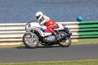 Vintage-motorcycle-club;eventdigitalimages;mallory-park;mallory-park-trackday-photographs;no-limits-trackdays;peter-wileman-photography;trackday-digital-images;trackday-photos;vmcc-festival-1000-bikes-photographs