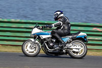 Vintage-motorcycle-club;eventdigitalimages;mallory-park;mallory-park-trackday-photographs;no-limits-trackdays;peter-wileman-photography;trackday-digital-images;trackday-photos;vmcc-festival-1000-bikes-photographs