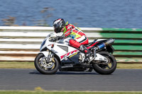 Vintage-motorcycle-club;eventdigitalimages;mallory-park;mallory-park-trackday-photographs;no-limits-trackdays;peter-wileman-photography;trackday-digital-images;trackday-photos;vmcc-festival-1000-bikes-photographs