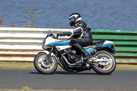 Vintage-motorcycle-club;eventdigitalimages;mallory-park;mallory-park-trackday-photographs;no-limits-trackdays;peter-wileman-photography;trackday-digital-images;trackday-photos;vmcc-festival-1000-bikes-photographs