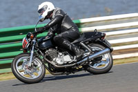 Vintage-motorcycle-club;eventdigitalimages;mallory-park;mallory-park-trackday-photographs;no-limits-trackdays;peter-wileman-photography;trackday-digital-images;trackday-photos;vmcc-festival-1000-bikes-photographs