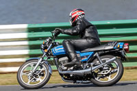 Vintage-motorcycle-club;eventdigitalimages;mallory-park;mallory-park-trackday-photographs;no-limits-trackdays;peter-wileman-photography;trackday-digital-images;trackday-photos;vmcc-festival-1000-bikes-photographs