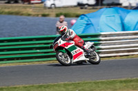 Vintage-motorcycle-club;eventdigitalimages;mallory-park;mallory-park-trackday-photographs;no-limits-trackdays;peter-wileman-photography;trackday-digital-images;trackday-photos;vmcc-festival-1000-bikes-photographs