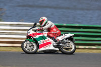 Vintage-motorcycle-club;eventdigitalimages;mallory-park;mallory-park-trackday-photographs;no-limits-trackdays;peter-wileman-photography;trackday-digital-images;trackday-photos;vmcc-festival-1000-bikes-photographs