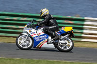 Vintage-motorcycle-club;eventdigitalimages;mallory-park;mallory-park-trackday-photographs;no-limits-trackdays;peter-wileman-photography;trackday-digital-images;trackday-photos;vmcc-festival-1000-bikes-photographs