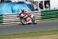 Vintage-motorcycle-club;eventdigitalimages;mallory-park;mallory-park-trackday-photographs;no-limits-trackdays;peter-wileman-photography;trackday-digital-images;trackday-photos;vmcc-festival-1000-bikes-photographs