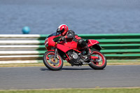 Vintage-motorcycle-club;eventdigitalimages;mallory-park;mallory-park-trackday-photographs;no-limits-trackdays;peter-wileman-photography;trackday-digital-images;trackday-photos;vmcc-festival-1000-bikes-photographs
