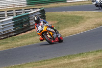 Vintage-motorcycle-club;eventdigitalimages;mallory-park;mallory-park-trackday-photographs;no-limits-trackdays;peter-wileman-photography;trackday-digital-images;trackday-photos;vmcc-festival-1000-bikes-photographs