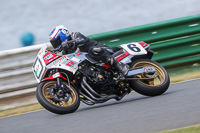 Vintage-motorcycle-club;eventdigitalimages;mallory-park;mallory-park-trackday-photographs;no-limits-trackdays;peter-wileman-photography;trackday-digital-images;trackday-photos;vmcc-festival-1000-bikes-photographs