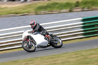 Vintage-motorcycle-club;eventdigitalimages;mallory-park;mallory-park-trackday-photographs;no-limits-trackdays;peter-wileman-photography;trackday-digital-images;trackday-photos;vmcc-festival-1000-bikes-photographs