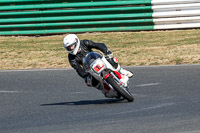 enduro-digital-images;event-digital-images;eventdigitalimages;mallory-park;mallory-park-photographs;mallory-park-trackday;mallory-park-trackday-photographs;no-limits-trackdays;peter-wileman-photography;racing-digital-images;trackday-digital-images;trackday-photos