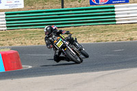 Vintage-motorcycle-club;eventdigitalimages;mallory-park;mallory-park-trackday-photographs;no-limits-trackdays;peter-wileman-photography;trackday-digital-images;trackday-photos;vmcc-festival-1000-bikes-photographs