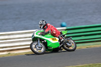 Vintage-motorcycle-club;eventdigitalimages;mallory-park;mallory-park-trackday-photographs;no-limits-trackdays;peter-wileman-photography;trackday-digital-images;trackday-photos;vmcc-festival-1000-bikes-photographs