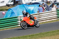 Vintage-motorcycle-club;eventdigitalimages;mallory-park;mallory-park-trackday-photographs;no-limits-trackdays;peter-wileman-photography;trackday-digital-images;trackday-photos;vmcc-festival-1000-bikes-photographs
