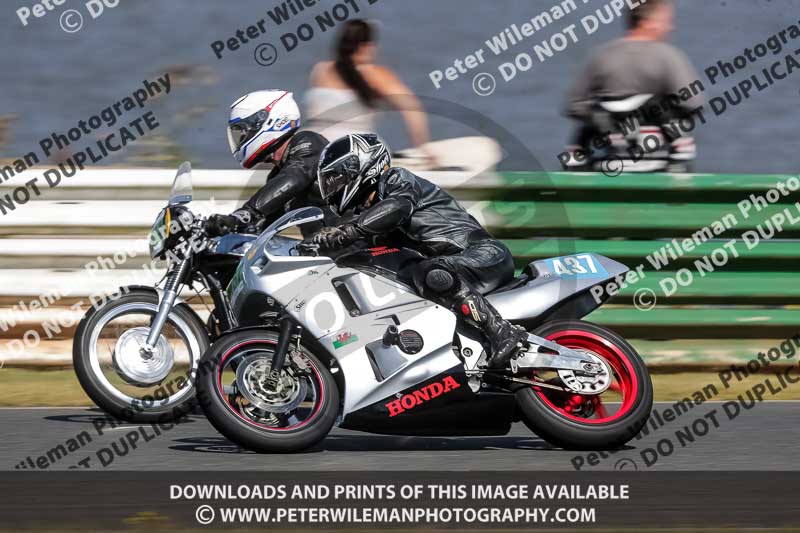 Vintage motorcycle club;eventdigitalimages;mallory park;mallory park trackday photographs;no limits trackdays;peter wileman photography;trackday digital images;trackday photos;vmcc festival 1000 bikes photographs