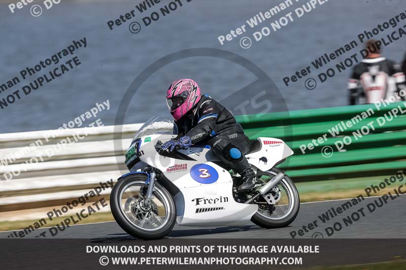 Vintage motorcycle club;eventdigitalimages;mallory park;mallory park trackday photographs;no limits trackdays;peter wileman photography;trackday digital images;trackday photos;vmcc festival 1000 bikes photographs