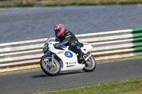 Vintage-motorcycle-club;eventdigitalimages;mallory-park;mallory-park-trackday-photographs;no-limits-trackdays;peter-wileman-photography;trackday-digital-images;trackday-photos;vmcc-festival-1000-bikes-photographs