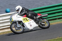 Vintage-motorcycle-club;eventdigitalimages;mallory-park;mallory-park-trackday-photographs;no-limits-trackdays;peter-wileman-photography;trackday-digital-images;trackday-photos;vmcc-festival-1000-bikes-photographs