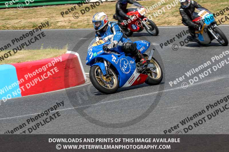 Vintage motorcycle club;eventdigitalimages;mallory park;mallory park trackday photographs;no limits trackdays;peter wileman photography;trackday digital images;trackday photos;vmcc festival 1000 bikes photographs