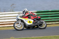 Vintage-motorcycle-club;eventdigitalimages;mallory-park;mallory-park-trackday-photographs;no-limits-trackdays;peter-wileman-photography;trackday-digital-images;trackday-photos;vmcc-festival-1000-bikes-photographs
