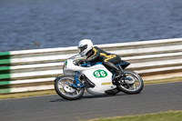 Vintage-motorcycle-club;eventdigitalimages;mallory-park;mallory-park-trackday-photographs;no-limits-trackdays;peter-wileman-photography;trackday-digital-images;trackday-photos;vmcc-festival-1000-bikes-photographs