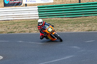 Vintage-motorcycle-club;eventdigitalimages;mallory-park;mallory-park-trackday-photographs;no-limits-trackdays;peter-wileman-photography;trackday-digital-images;trackday-photos;vmcc-festival-1000-bikes-photographs