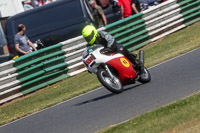Vintage-motorcycle-club;eventdigitalimages;mallory-park;mallory-park-trackday-photographs;no-limits-trackdays;peter-wileman-photography;trackday-digital-images;trackday-photos;vmcc-festival-1000-bikes-photographs