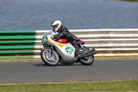 Vintage-motorcycle-club;eventdigitalimages;mallory-park;mallory-park-trackday-photographs;no-limits-trackdays;peter-wileman-photography;trackday-digital-images;trackday-photos;vmcc-festival-1000-bikes-photographs