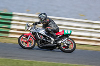 Vintage-motorcycle-club;eventdigitalimages;mallory-park;mallory-park-trackday-photographs;no-limits-trackdays;peter-wileman-photography;trackday-digital-images;trackday-photos;vmcc-festival-1000-bikes-photographs