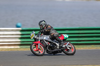 Vintage-motorcycle-club;eventdigitalimages;mallory-park;mallory-park-trackday-photographs;no-limits-trackdays;peter-wileman-photography;trackday-digital-images;trackday-photos;vmcc-festival-1000-bikes-photographs