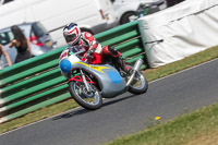Vintage-motorcycle-club;eventdigitalimages;mallory-park;mallory-park-trackday-photographs;no-limits-trackdays;peter-wileman-photography;trackday-digital-images;trackday-photos;vmcc-festival-1000-bikes-photographs