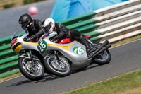 Vintage-motorcycle-club;eventdigitalimages;mallory-park;mallory-park-trackday-photographs;no-limits-trackdays;peter-wileman-photography;trackday-digital-images;trackday-photos;vmcc-festival-1000-bikes-photographs