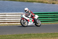 Vintage-motorcycle-club;eventdigitalimages;mallory-park;mallory-park-trackday-photographs;no-limits-trackdays;peter-wileman-photography;trackday-digital-images;trackday-photos;vmcc-festival-1000-bikes-photographs