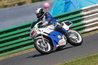 Vintage-motorcycle-club;eventdigitalimages;mallory-park;mallory-park-trackday-photographs;no-limits-trackdays;peter-wileman-photography;trackday-digital-images;trackday-photos;vmcc-festival-1000-bikes-photographs