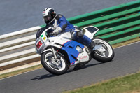 Vintage-motorcycle-club;eventdigitalimages;mallory-park;mallory-park-trackday-photographs;no-limits-trackdays;peter-wileman-photography;trackday-digital-images;trackday-photos;vmcc-festival-1000-bikes-photographs