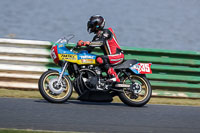 Vintage-motorcycle-club;eventdigitalimages;mallory-park;mallory-park-trackday-photographs;no-limits-trackdays;peter-wileman-photography;trackday-digital-images;trackday-photos;vmcc-festival-1000-bikes-photographs