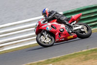Vintage-motorcycle-club;eventdigitalimages;mallory-park;mallory-park-trackday-photographs;no-limits-trackdays;peter-wileman-photography;trackday-digital-images;trackday-photos;vmcc-festival-1000-bikes-photographs