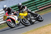 Vintage-motorcycle-club;eventdigitalimages;mallory-park;mallory-park-trackday-photographs;no-limits-trackdays;peter-wileman-photography;trackday-digital-images;trackday-photos;vmcc-festival-1000-bikes-photographs