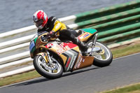 Vintage-motorcycle-club;eventdigitalimages;mallory-park;mallory-park-trackday-photographs;no-limits-trackdays;peter-wileman-photography;trackday-digital-images;trackday-photos;vmcc-festival-1000-bikes-photographs