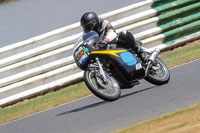 Vintage-motorcycle-club;eventdigitalimages;mallory-park;mallory-park-trackday-photographs;no-limits-trackdays;peter-wileman-photography;trackday-digital-images;trackday-photos;vmcc-festival-1000-bikes-photographs