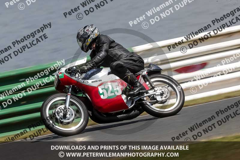 Vintage motorcycle club;eventdigitalimages;mallory park;mallory park trackday photographs;no limits trackdays;peter wileman photography;trackday digital images;trackday photos;vmcc festival 1000 bikes photographs