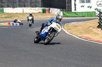 Vintage-motorcycle-club;eventdigitalimages;mallory-park;mallory-park-trackday-photographs;no-limits-trackdays;peter-wileman-photography;trackday-digital-images;trackday-photos;vmcc-festival-1000-bikes-photographs